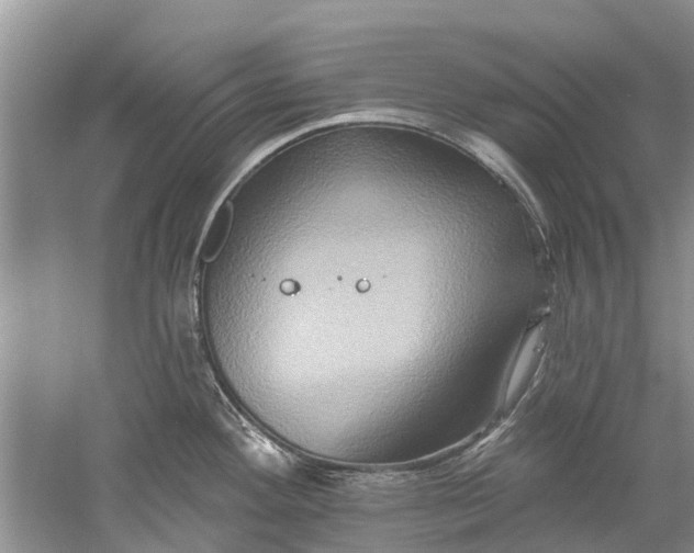 X0000061151292200512022304