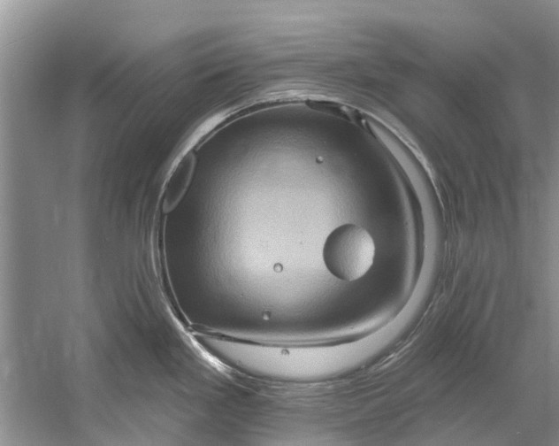 X0000061151293200512022304