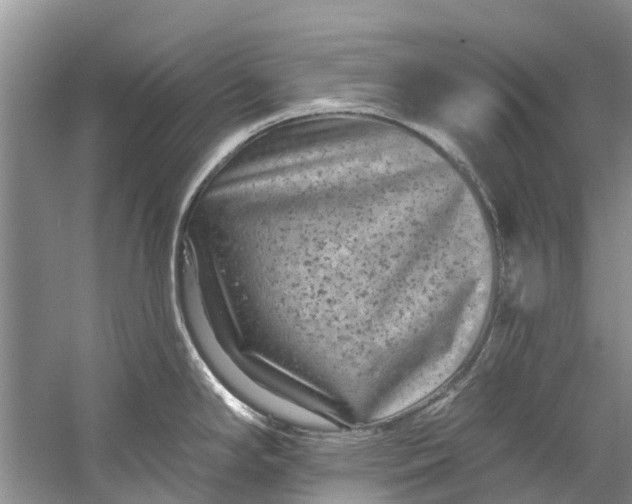 X0000061151294200512022304