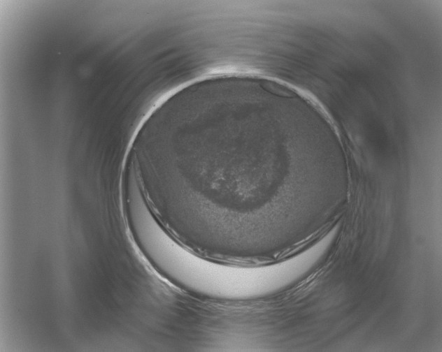 X0000061151295200512022304