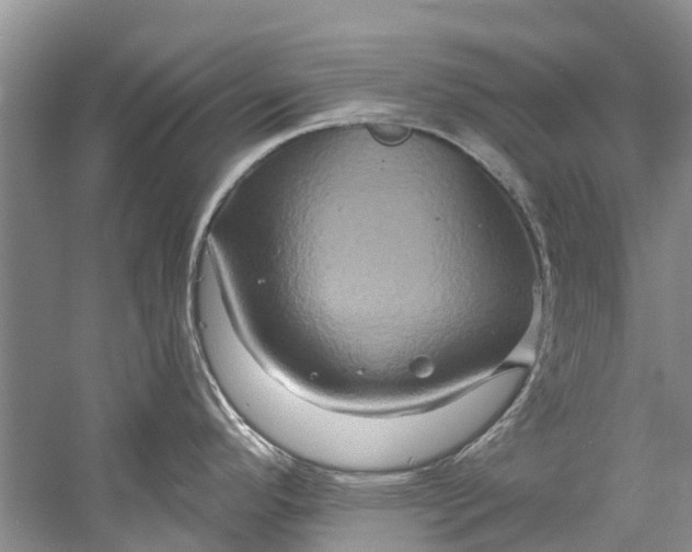 X0000061151296200512022304