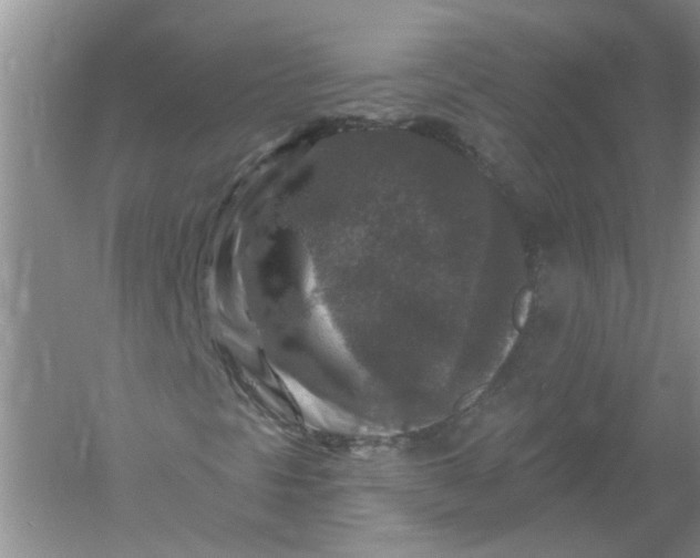 X0000061151297200512022303