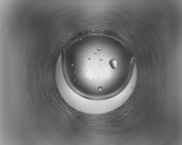 X0000061151298200512022303