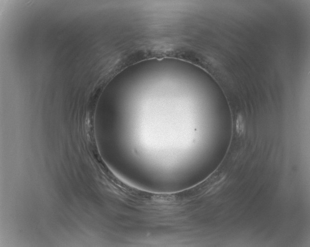 X0000061151299200512022303