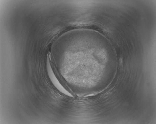 X0000061151300200512022303