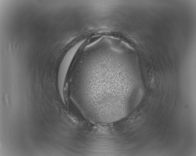 X0000061151301200512022303