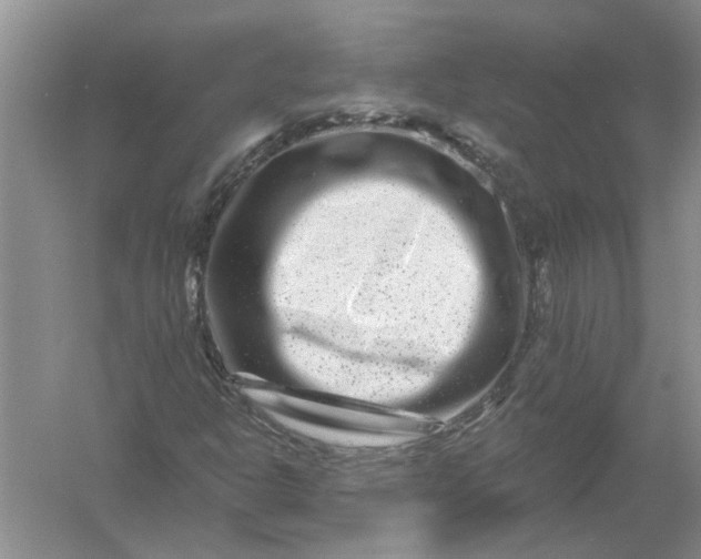 X0000061151302200512022303