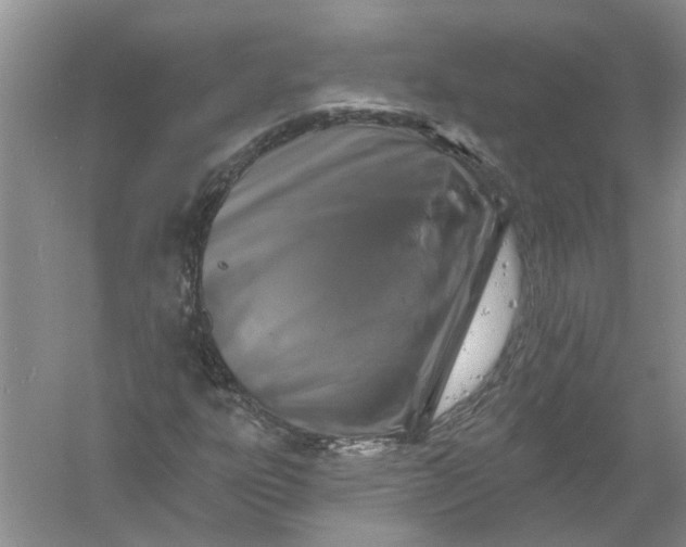 X0000061151303200512022303