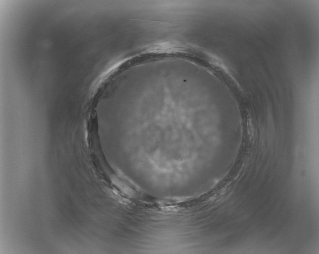 X0000061151304200512022303