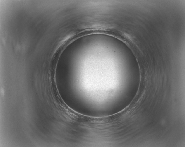 X0000061151307200512022303