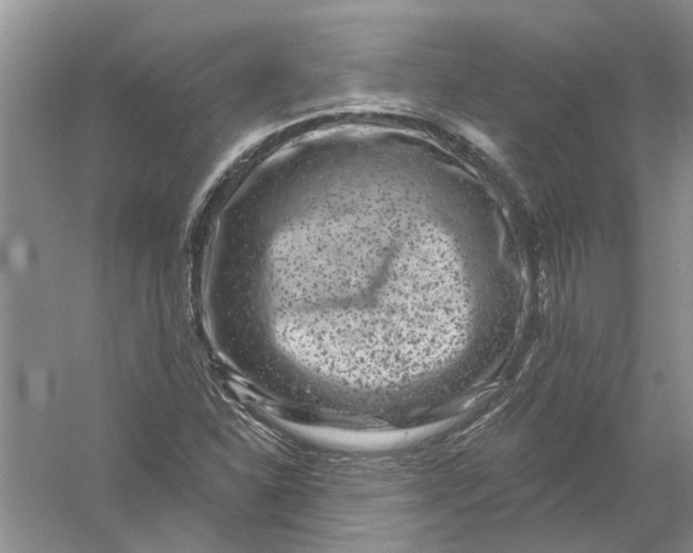 X0000061151310200512022303