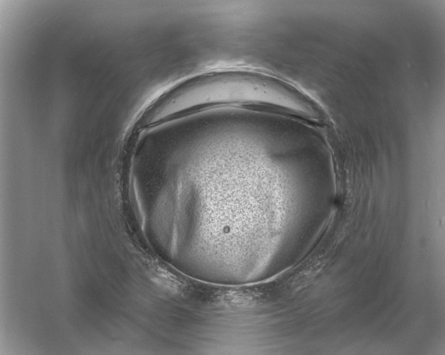 X0000061151311200512022303