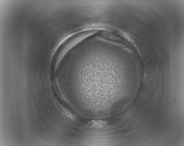 X0000061151312200512022304