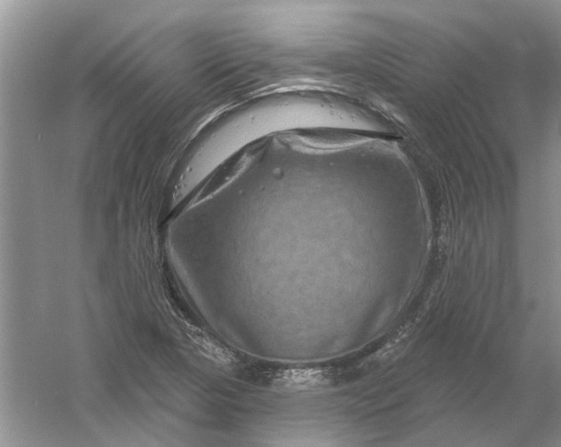 X0000061151313200512022304