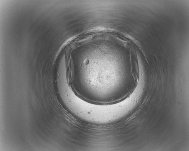 X0000061151314200512022304