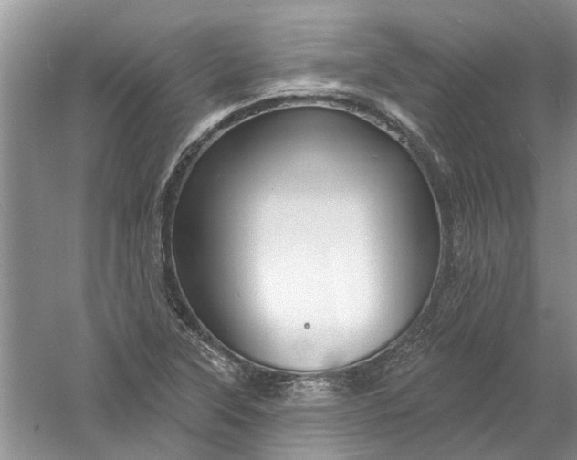 X0000061151315200512022304