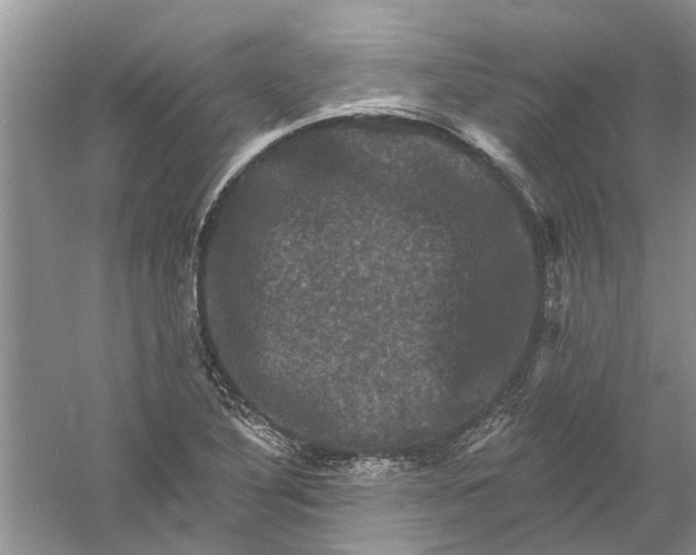 X0000061151316200512022304