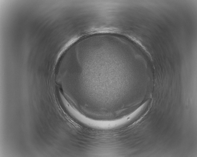 X0000061151317200512022304