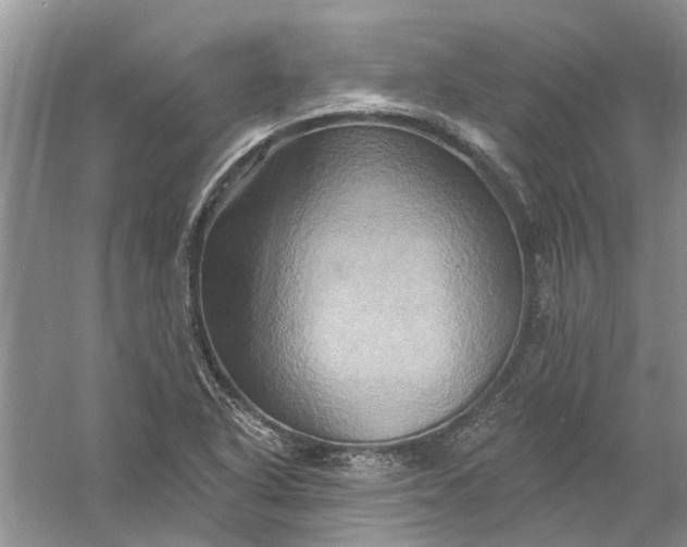 X0000061151318200512022304