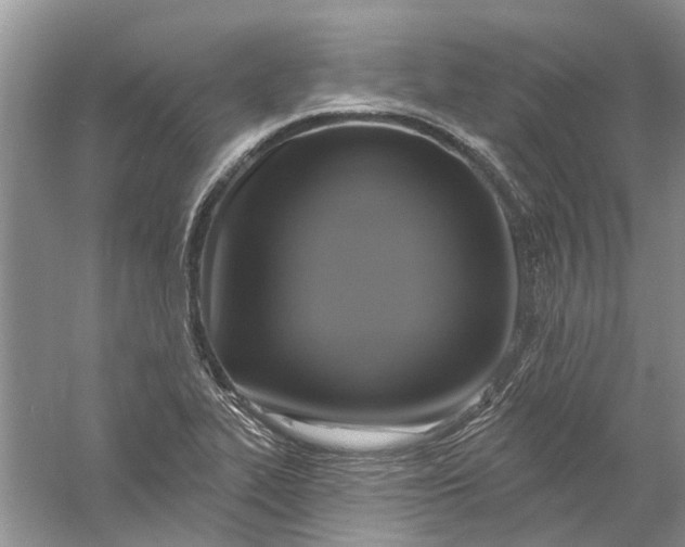 X0000061151319200512022304