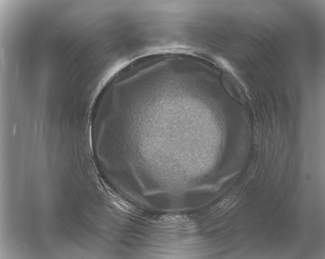 X0000061151320200512022304