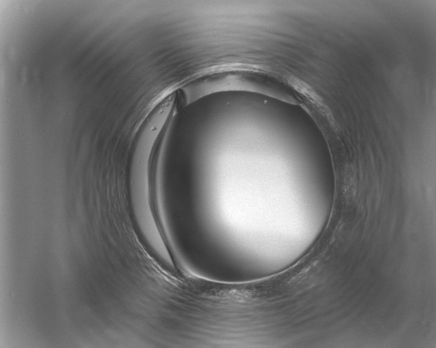 X0000061151321200512022304