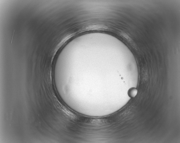 X0000061151322200512022304