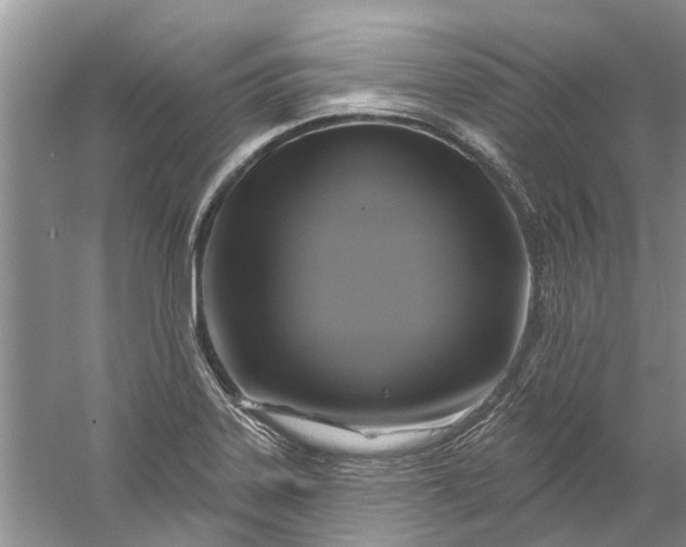 X0000061151323200512022304