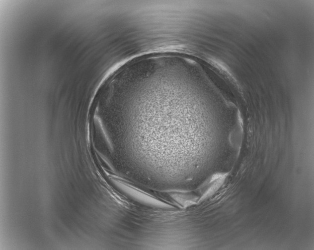 X0000061151324200512022304