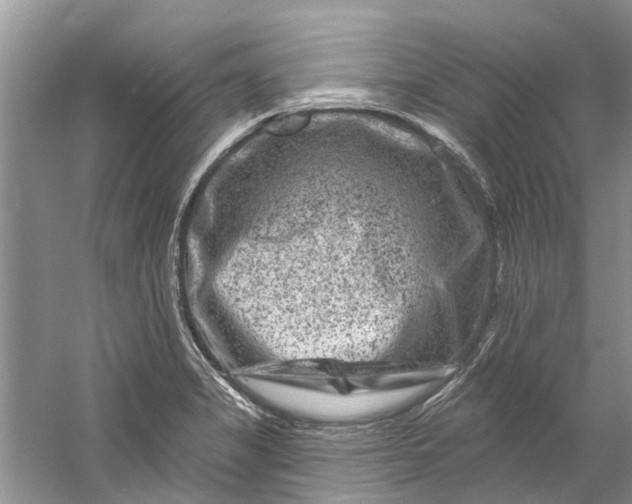 X0000061151325200512022304