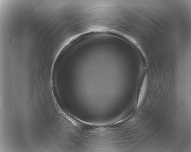 X0000061151327200512022304