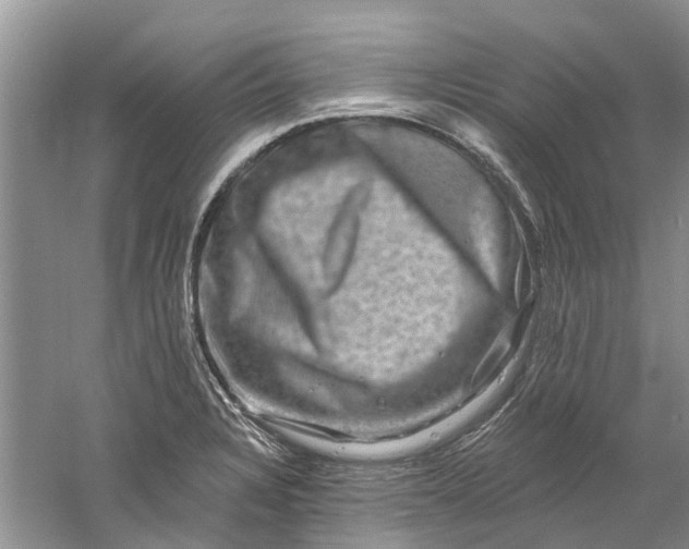 X0000061151328200512022304