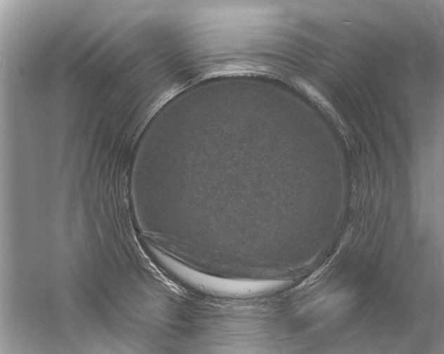 X0000061151329200512022304