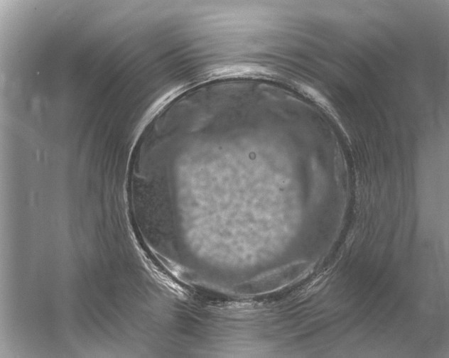 X0000061151330200512022304