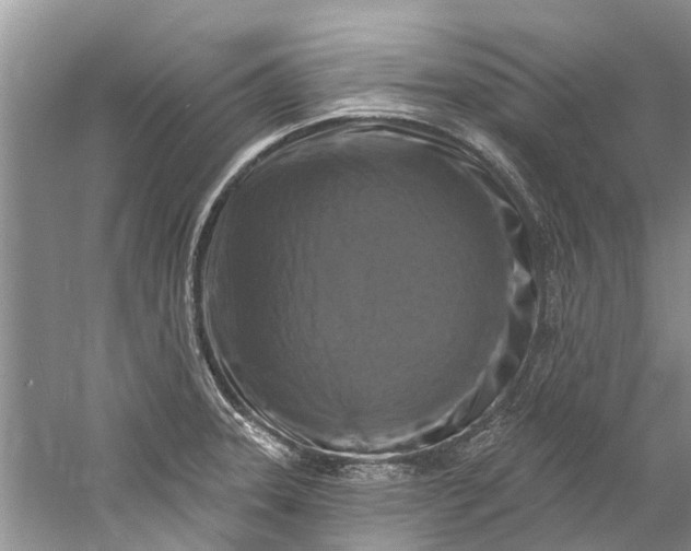 X0000061151331200512022304