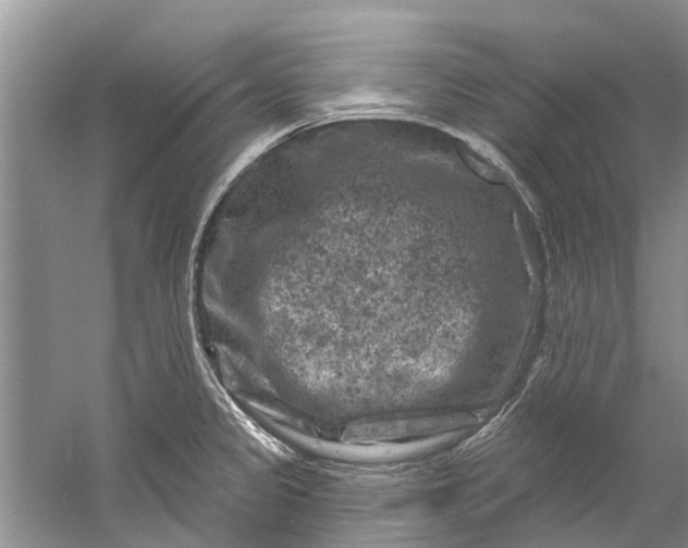 X0000061151333200512022304