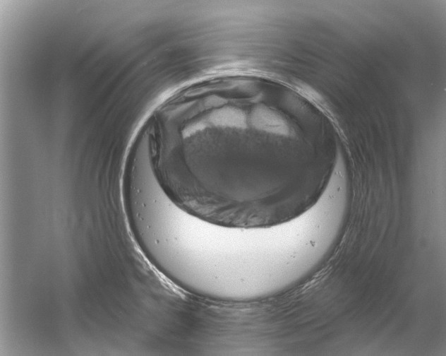 X0000061151334200512022304