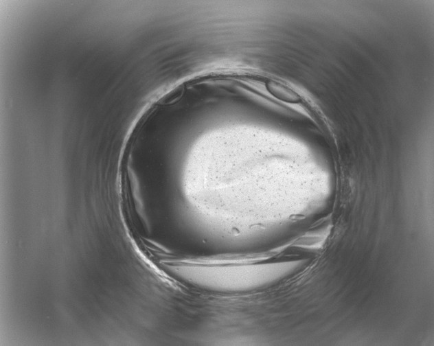 X0000061151335200512022304