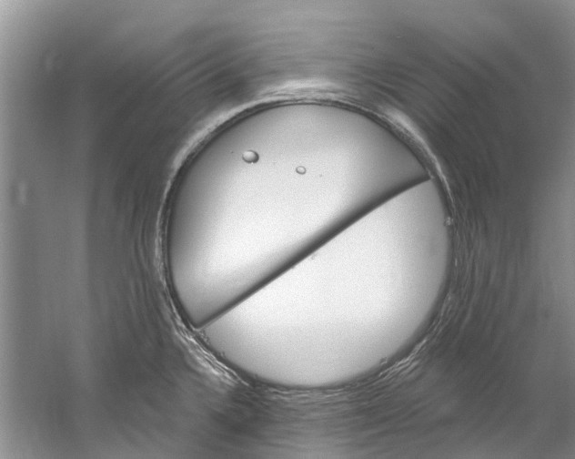 X0000061151336200512022304