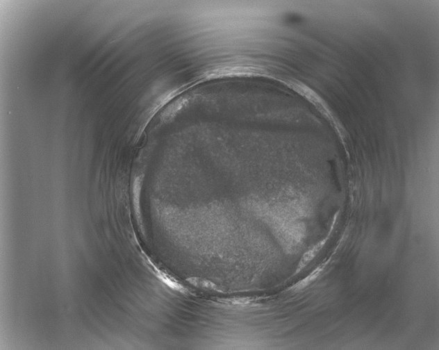 X0000061151337200512022304