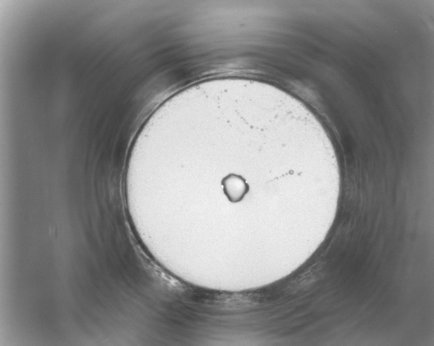 X0000061151338200512022304