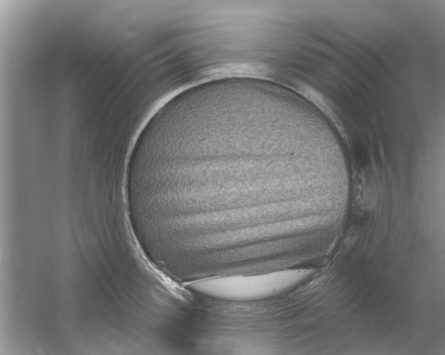 X0000061151339200512022304