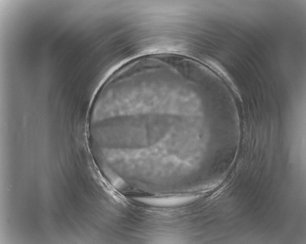 X0000061151340200512022304