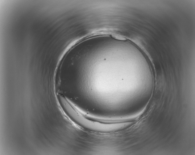 X0000061151341200512022304