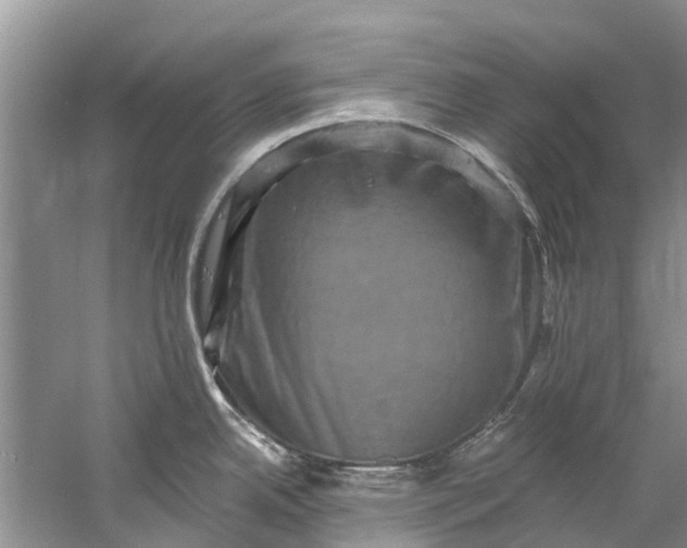 X0000061151342200512022304