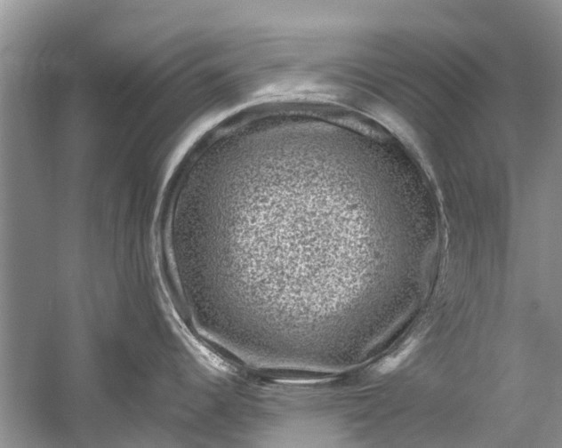 X0000061151344200512022304