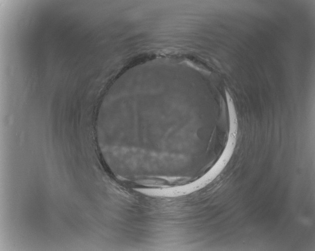 X0000061151345200512022303