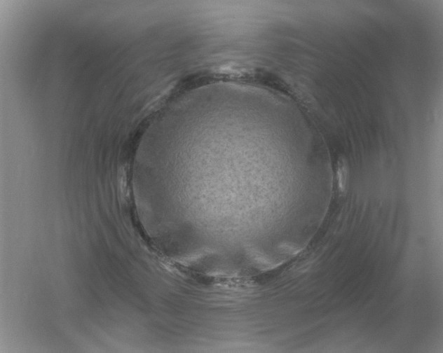 X0000061151347200512022303