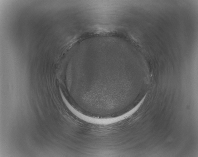 X0000061151348200512022303