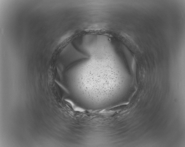 X0000061151350200512022303